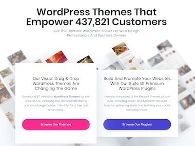 divi-theme